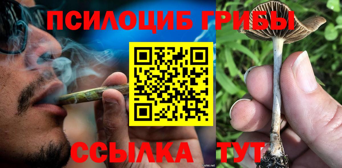 дарнет шоп  Галлюциногенные грибы мухоморы  Вход с VPN  Рыбинск 