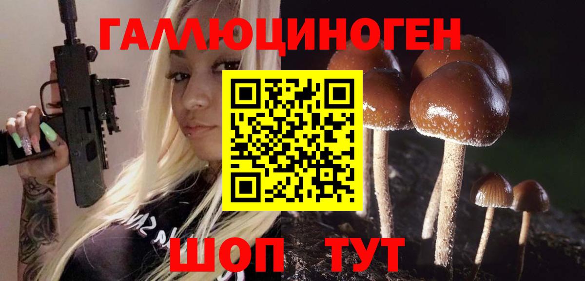 Псилоцибиновые грибы Psilocybe Рыбинск
